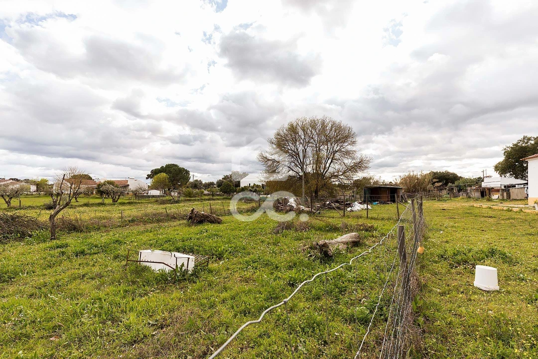 Quinta T4 para Venda em São Bento do Mato Foto 54