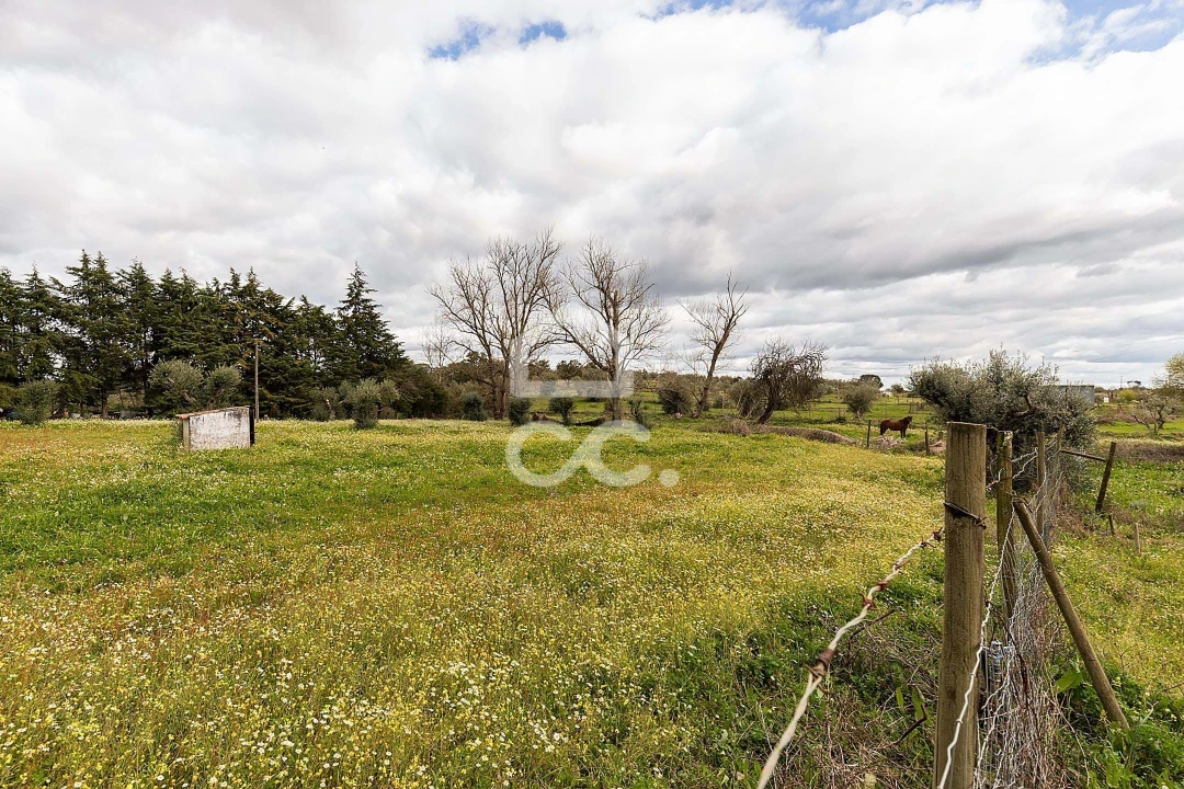 Quinta T4 para Venda em São Bento do Mato Foto 55