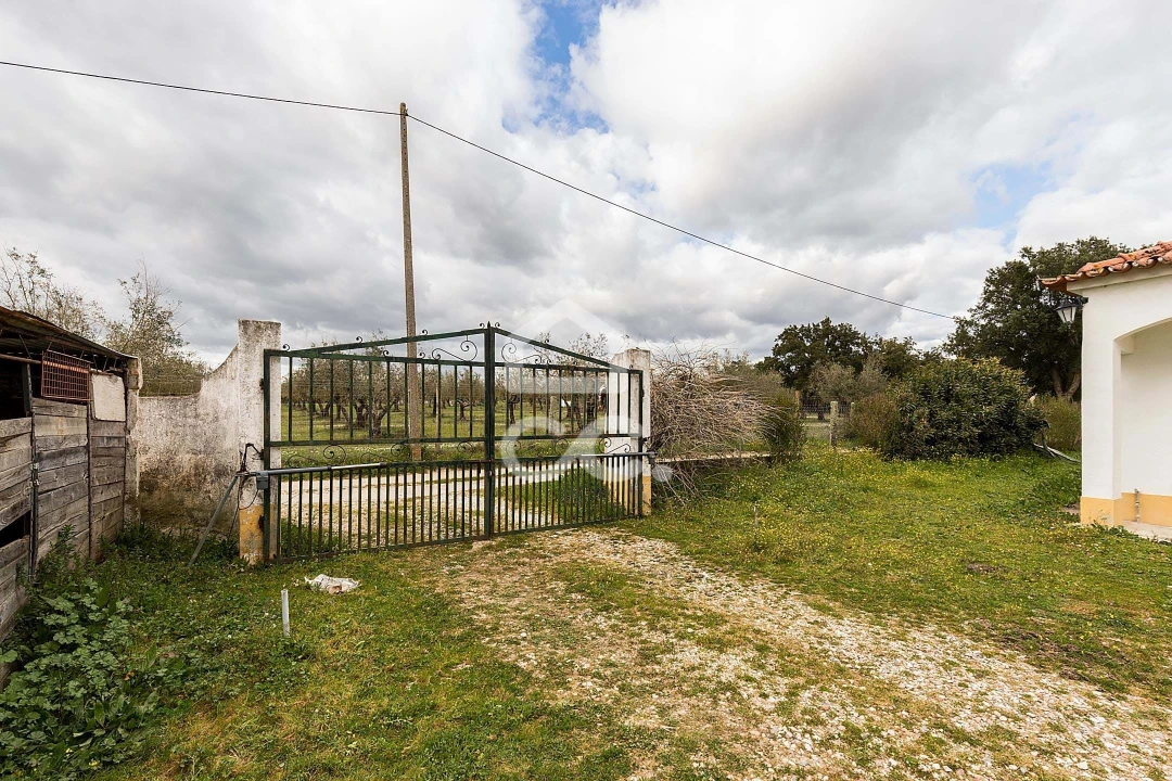 Quinta T4 para Venda em São Bento do Mato Foto 48