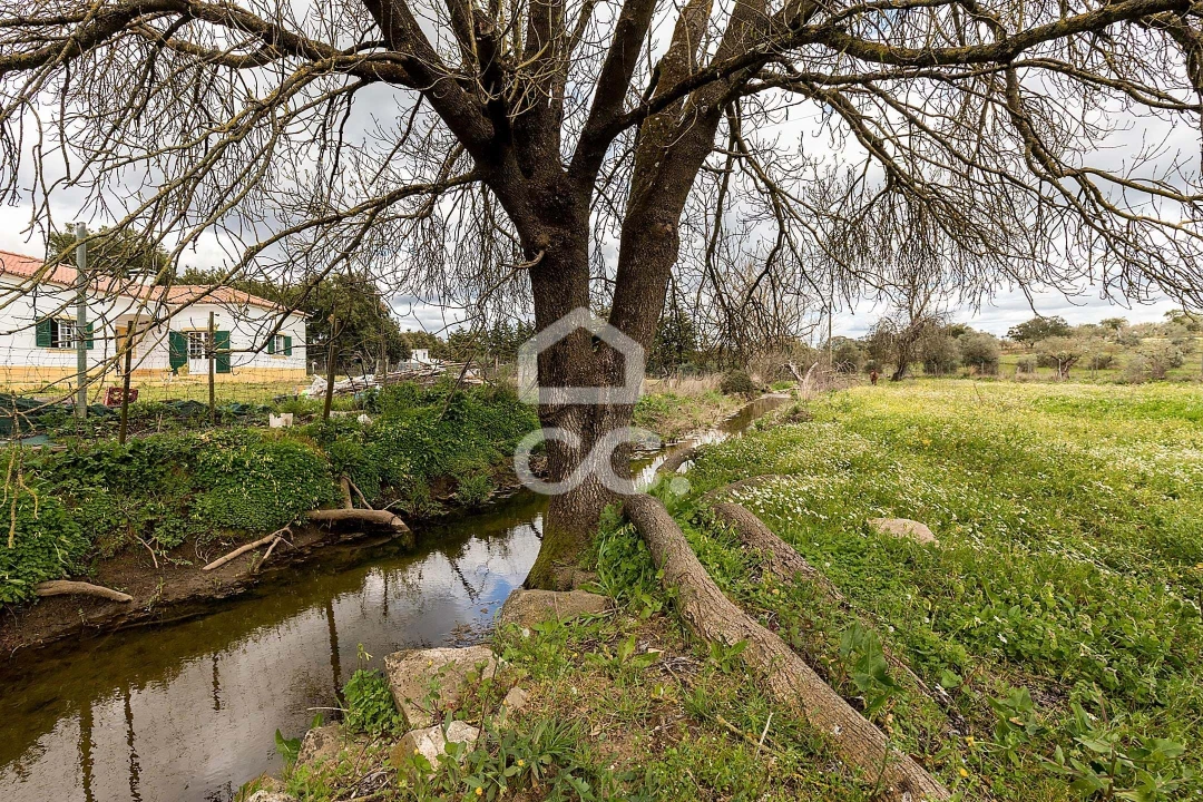 Quinta T4 para Venda em São Bento do Mato Foto 36
