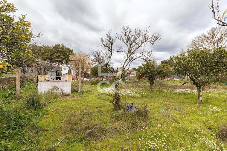 Quinta T4 para Venda em São Bento do Mato Foto 43
