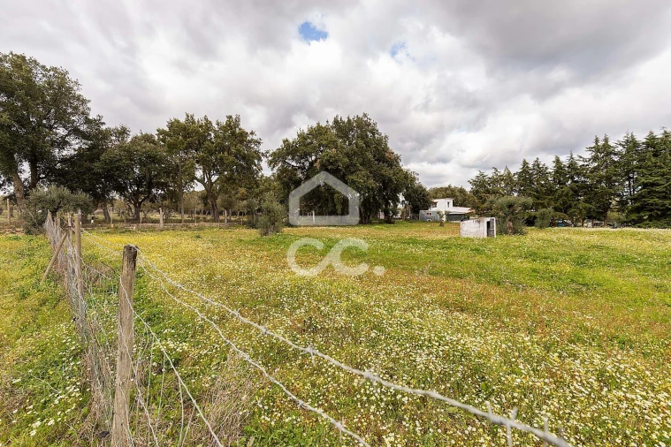 Quinta T4 para Venda em São Bento do Mato Foto 53