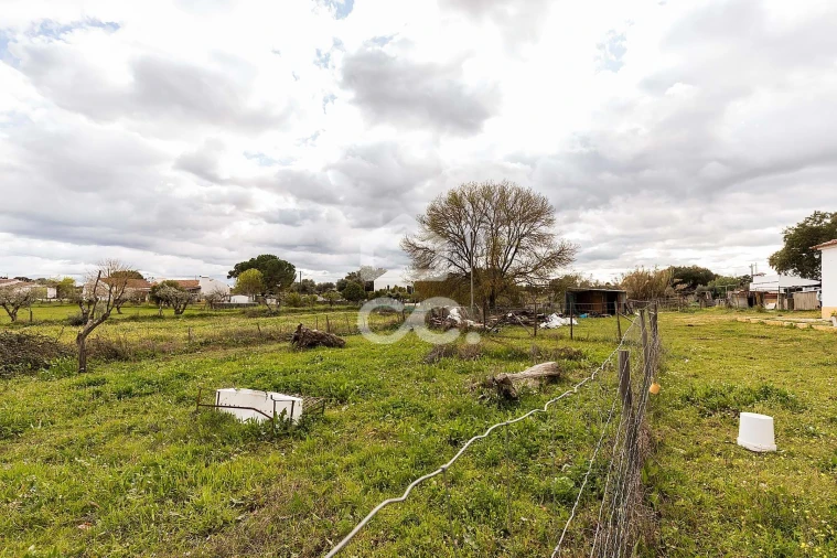 Quinta T4 para Venda em São Bento do Mato Foto 54