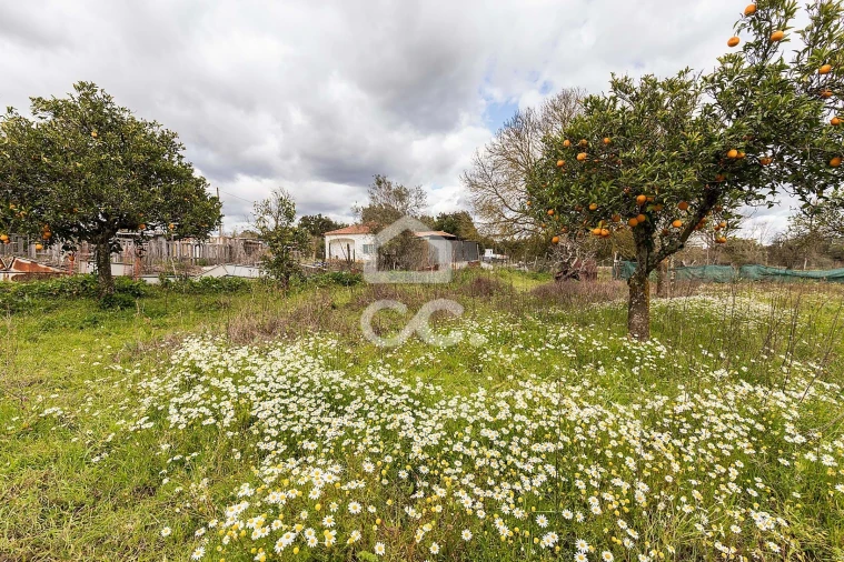 Quinta T4 para Venda em São Bento do Mato Foto 30