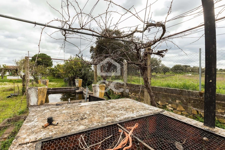 Quinta T4 para Venda em São Bento do Mato Foto 35