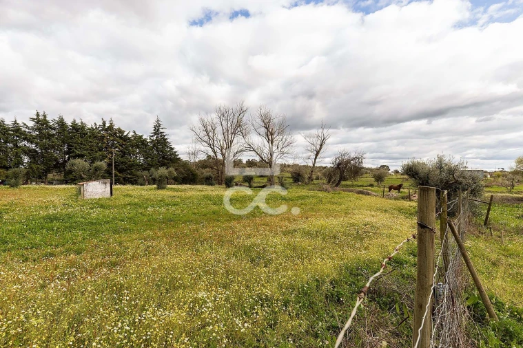 Quinta T4 para Venda em São Bento do Mato Foto 55