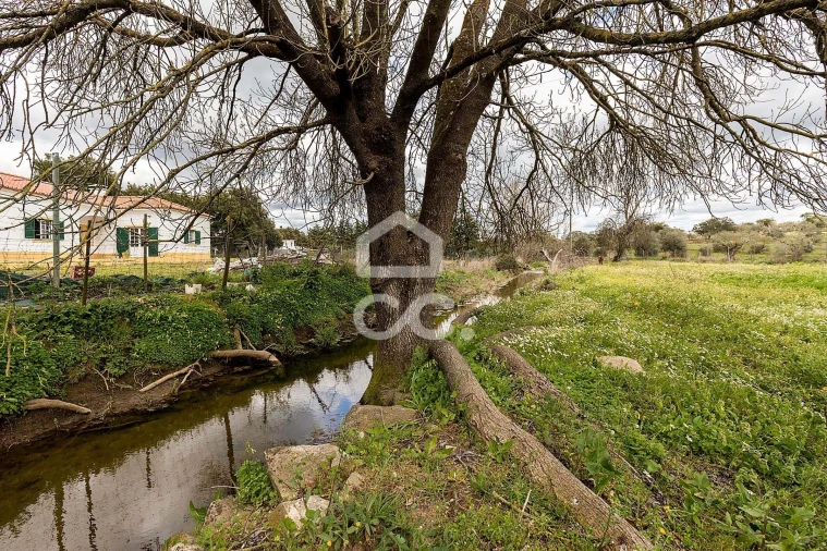 Quinta T4 para Venda em São Bento do Mato Foto 36