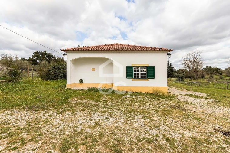 Quinta T4 para Venda em São Bento do Mato Foto 23