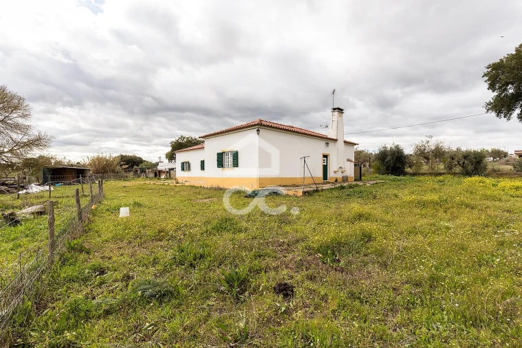 Quinta T4 para Venda em São Bento do Mato Foto 50