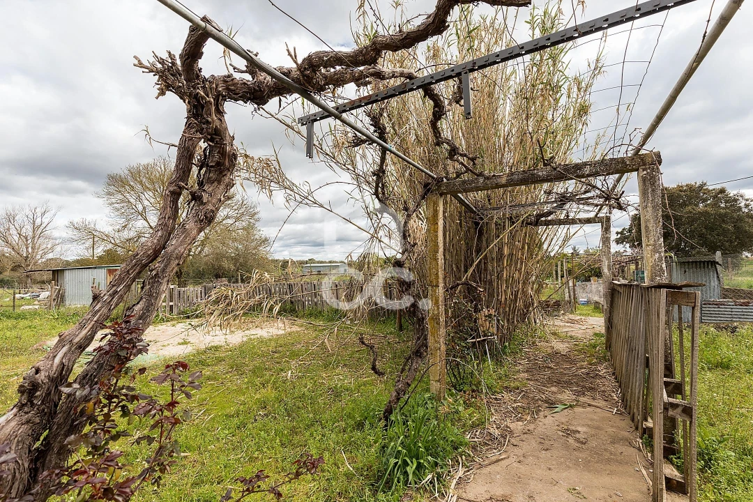 Quinta T4 para Venda em São Bento do Mato Foto 37
