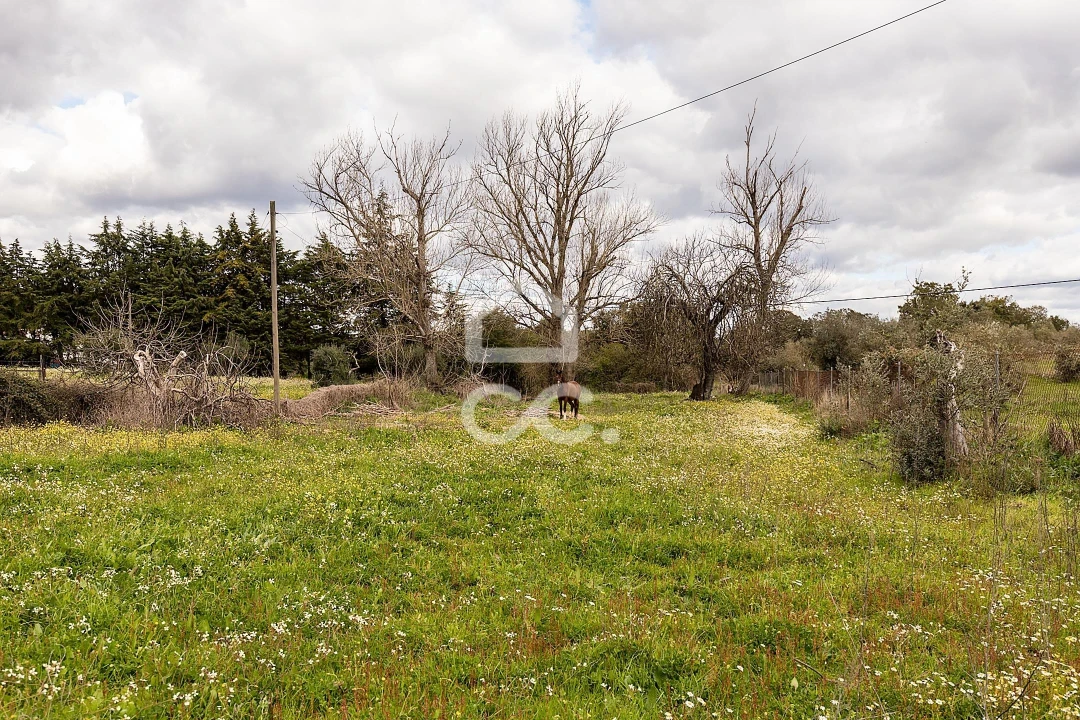 Quinta T4 para Venda em São Bento do Mato Foto 39