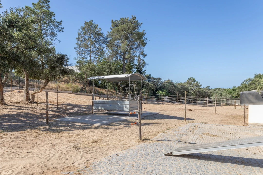 Moradia T3 para Venda em Ferragudo Foto 32