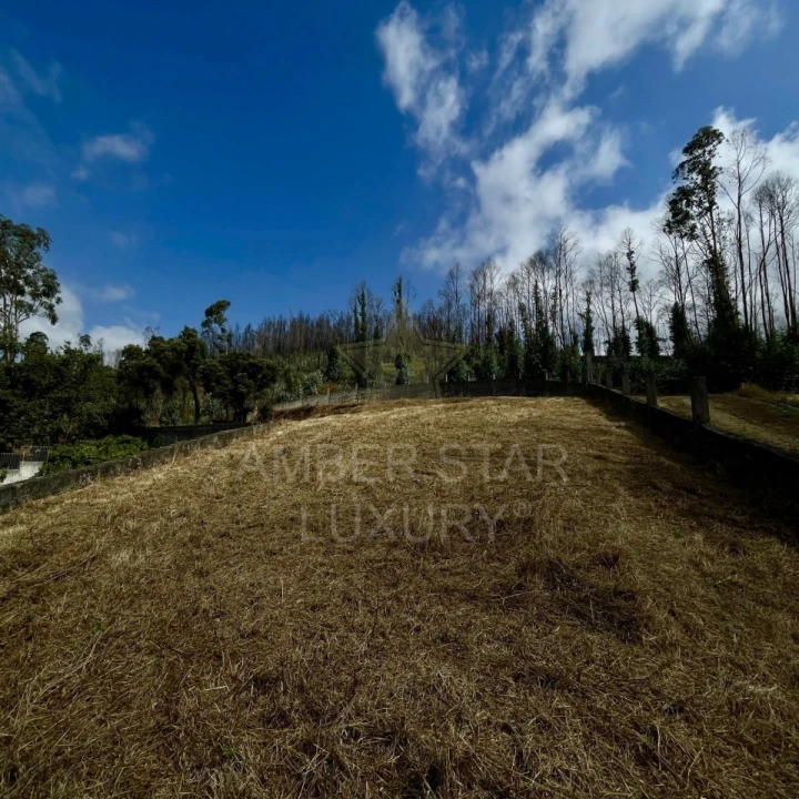 Terreno para Venda em Melres e Medas Foto 5