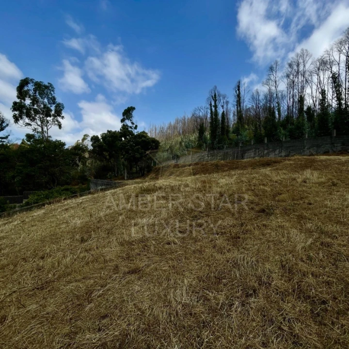 Terreno para Venda em Melres e Medas Foto 6