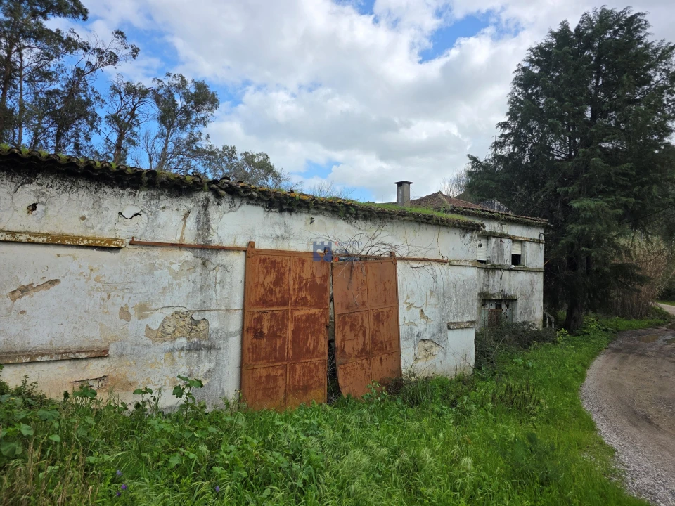Terreno para Venda em Zibreira Foto 6