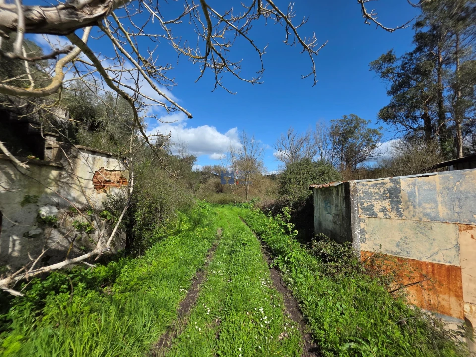 Terreno para Venda em Zibreira Foto 16