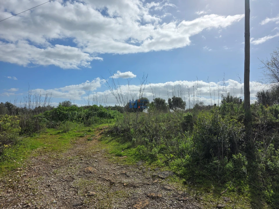 Terreno para Venda em Zibreira Foto 2