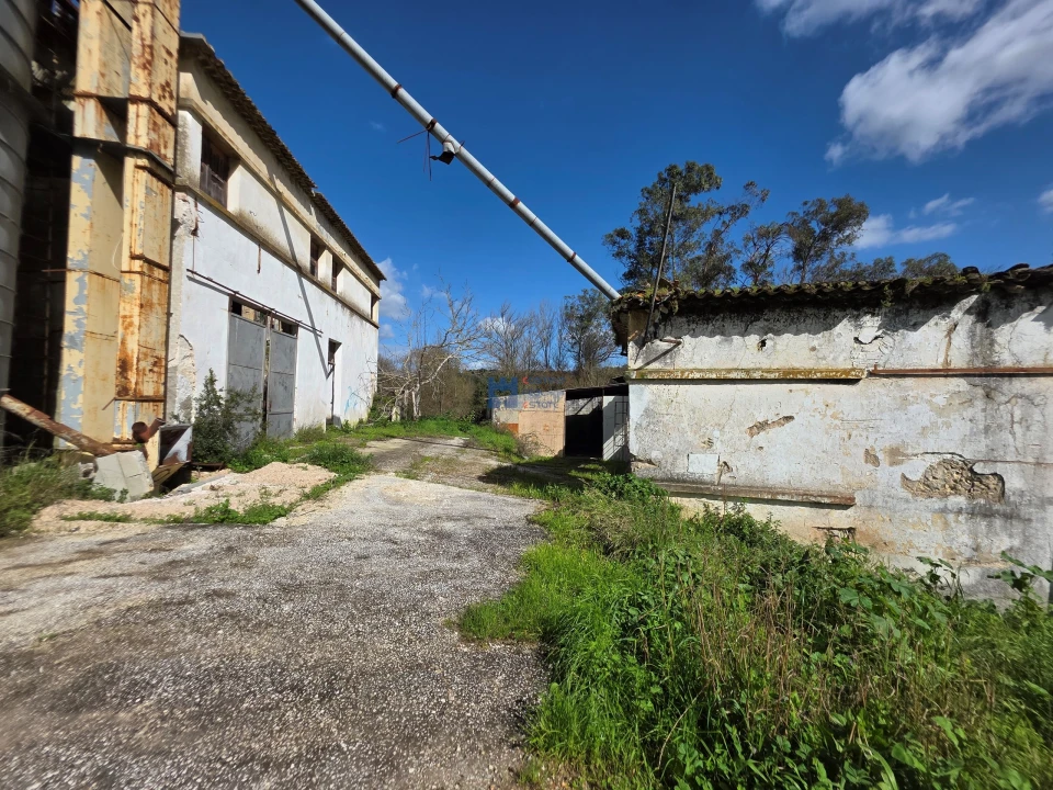 Terreno para Venda em Zibreira Foto 14