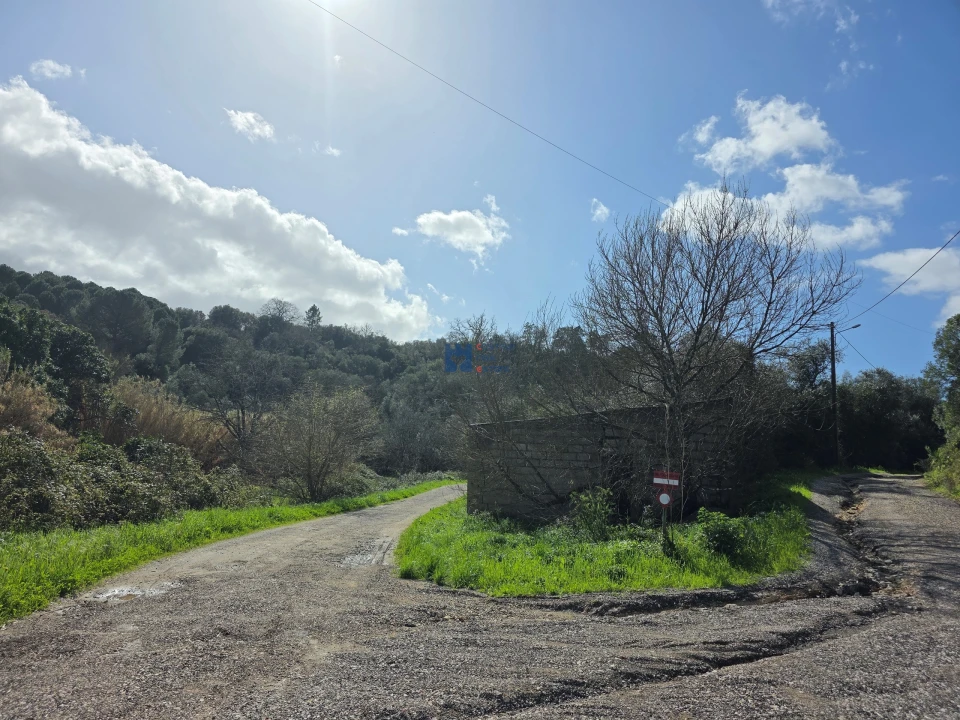 Terreno para Venda em Zibreira Foto 22