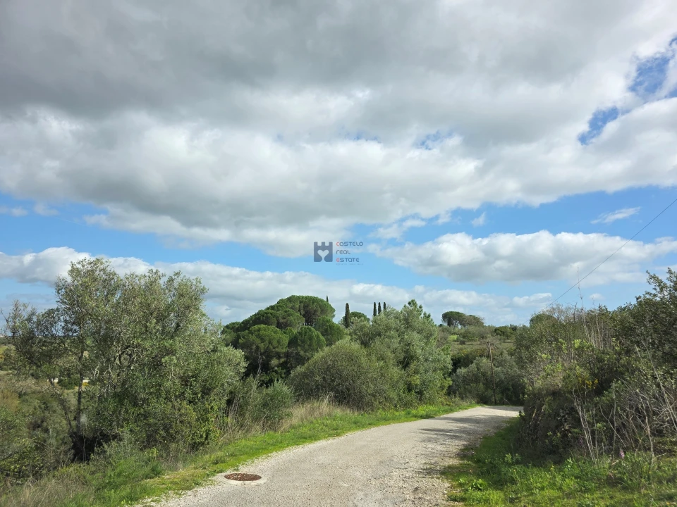 Terreno para Venda em Zibreira Foto 3
