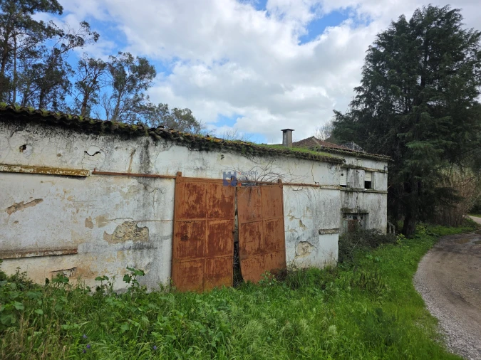 Terreno para Venda em Zibreira Foto 6