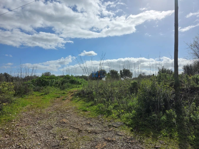 Terreno para Venda em Zibreira Foto 2