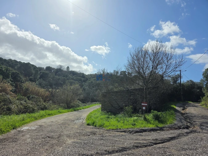 Terreno para Venda em Zibreira Foto 22