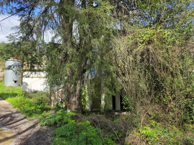 Terreno para Venda em Zibreira Foto 19