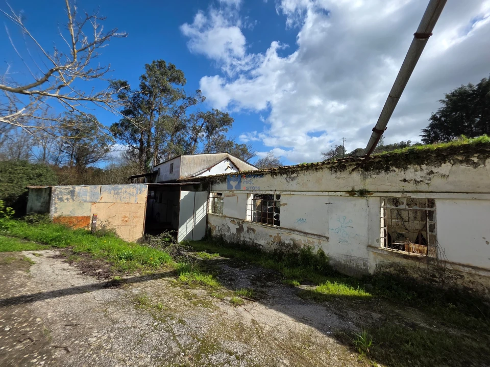 Terreno para Venda em Zibreira Foto 15