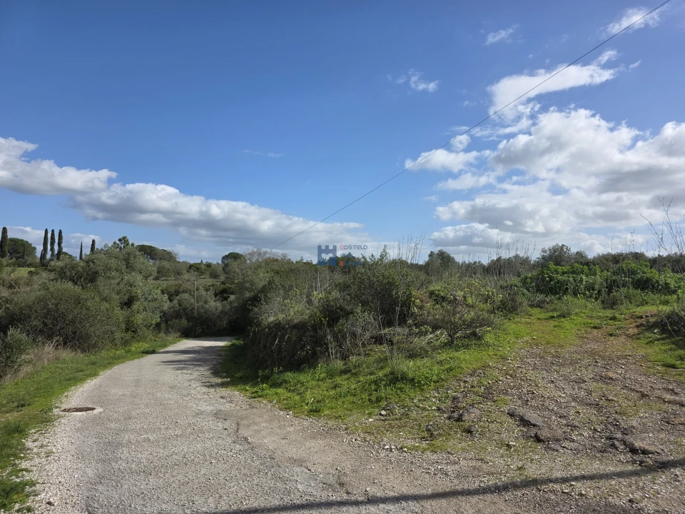 Terreno para Venda em Zibreira Foto 1