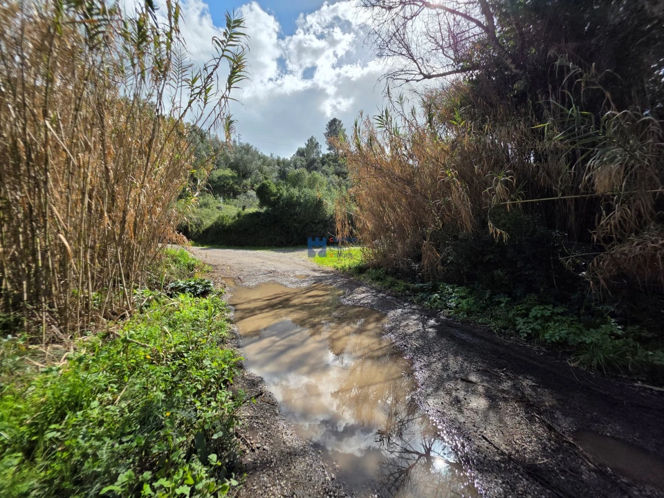 Terreno para Venda em Zibreira Foto 21