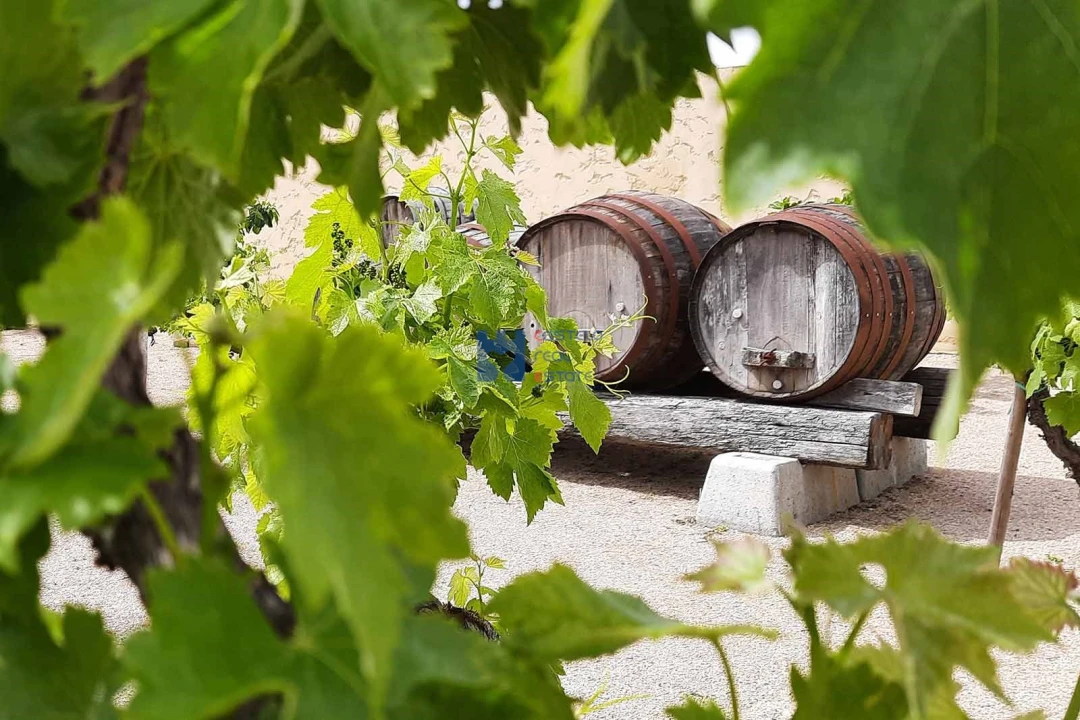 Moradia T7 para Venda em Seiça Foto 6