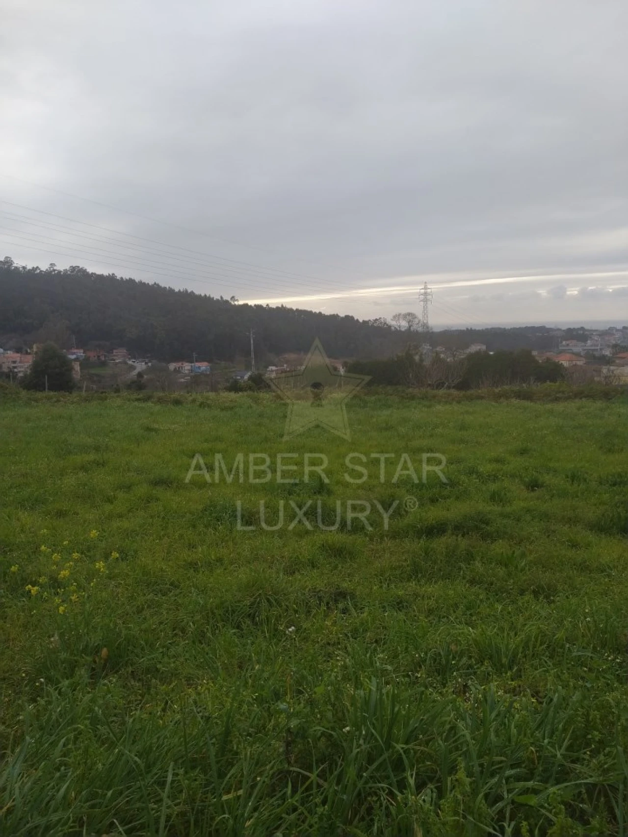 Terreno para Venda em Nogueira da Regedoura Foto 3