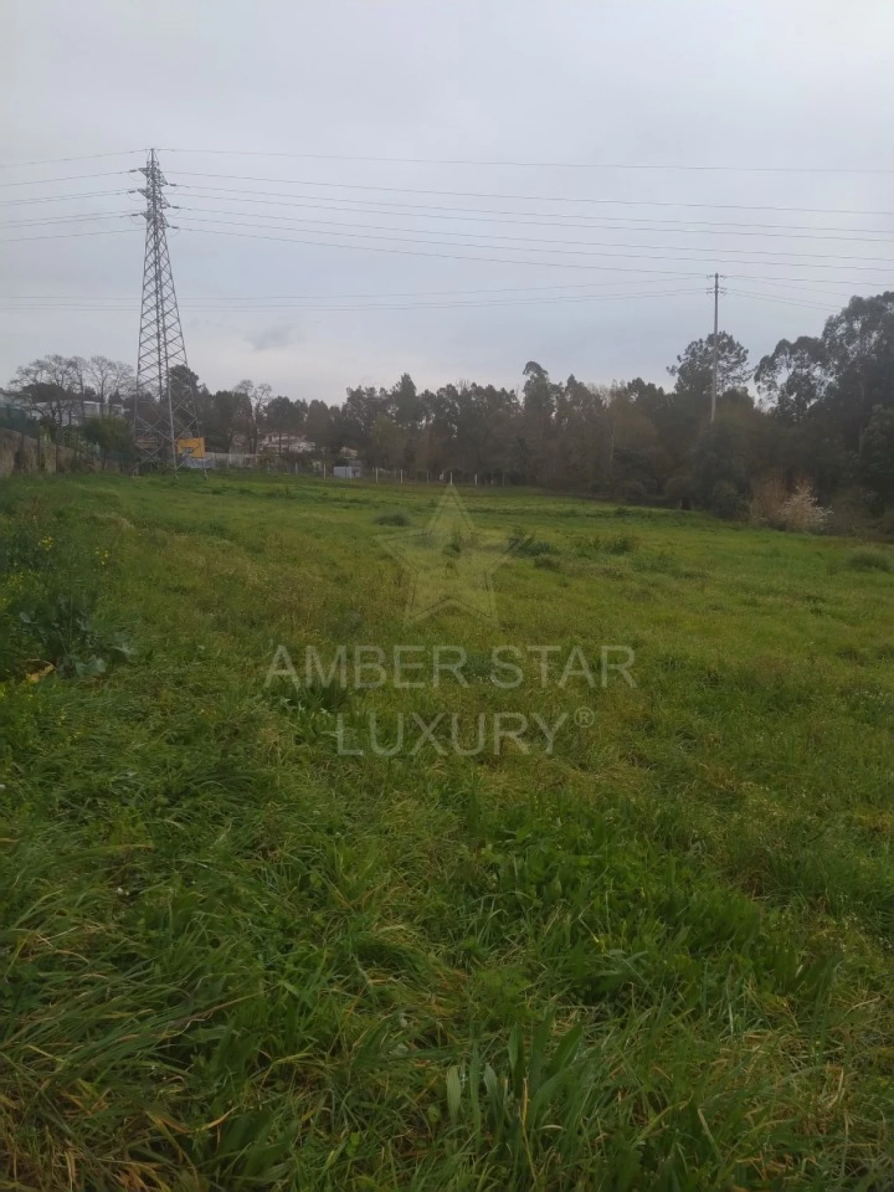 Terreno para Venda em Nogueira da Regedoura Foto 4