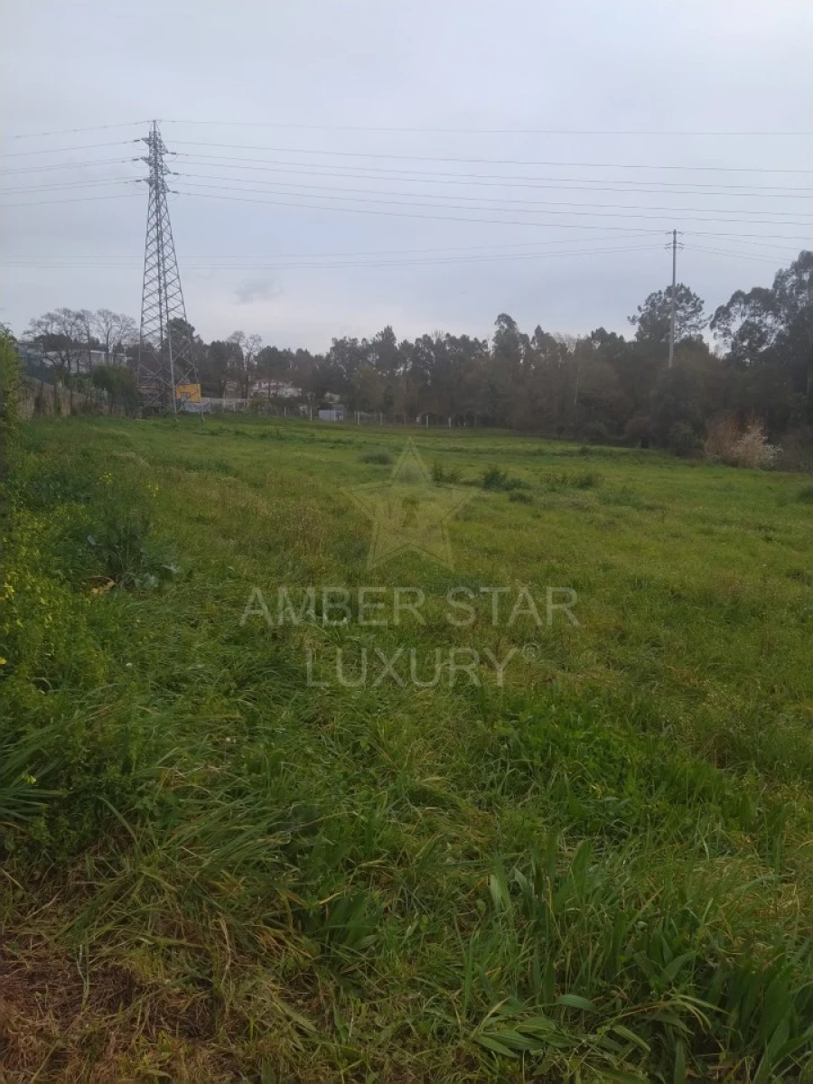 Terreno para Venda em Nogueira da Regedoura Foto 2