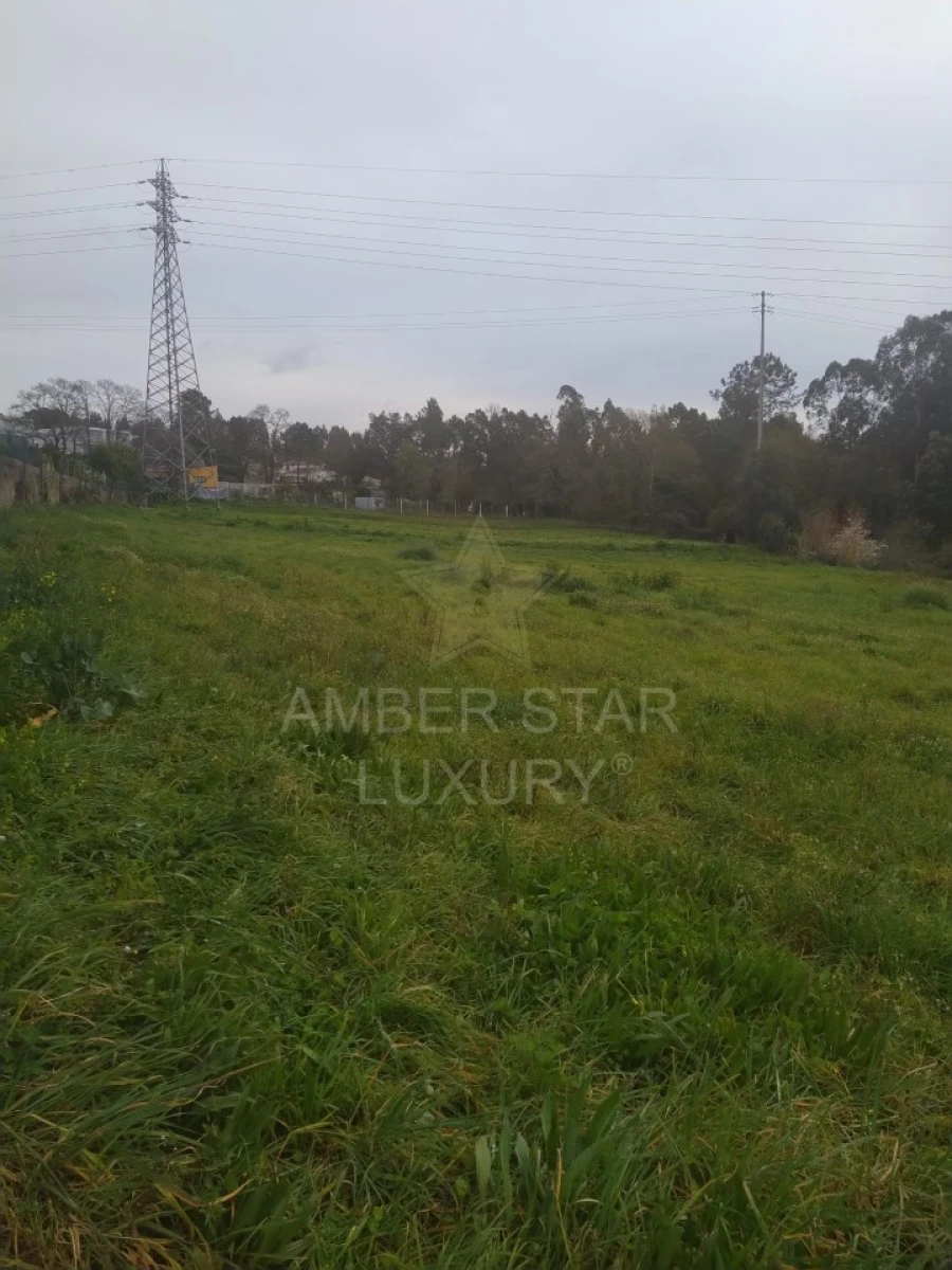 Terreno para Venda em Nogueira da Regedoura Foto 4