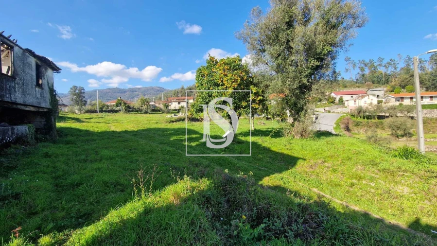 Terreno para Venda em Parada do Bouro Foto 21