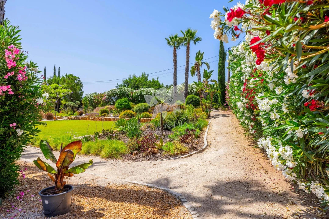 Moradia T4 para Venda em Pechão Foto 47