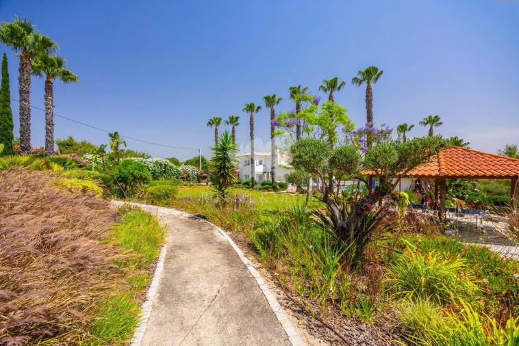 Moradia T4 para Venda em Pechão Foto 46