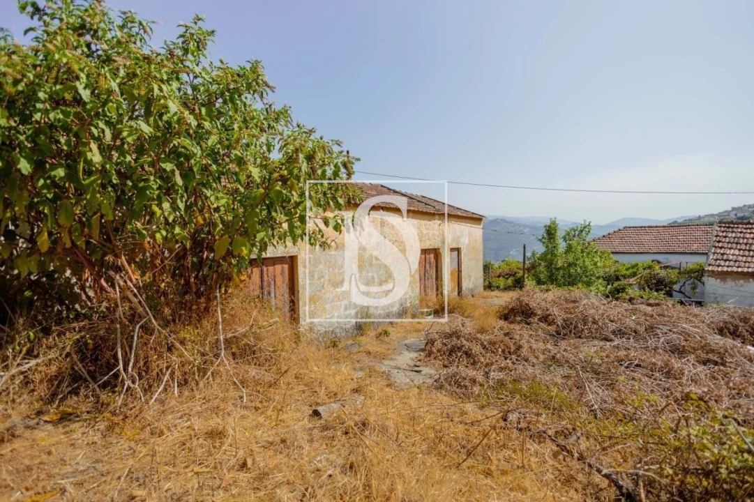 Quinta T7 para Venda em Anreade e São Romão de Aregos Foto 24