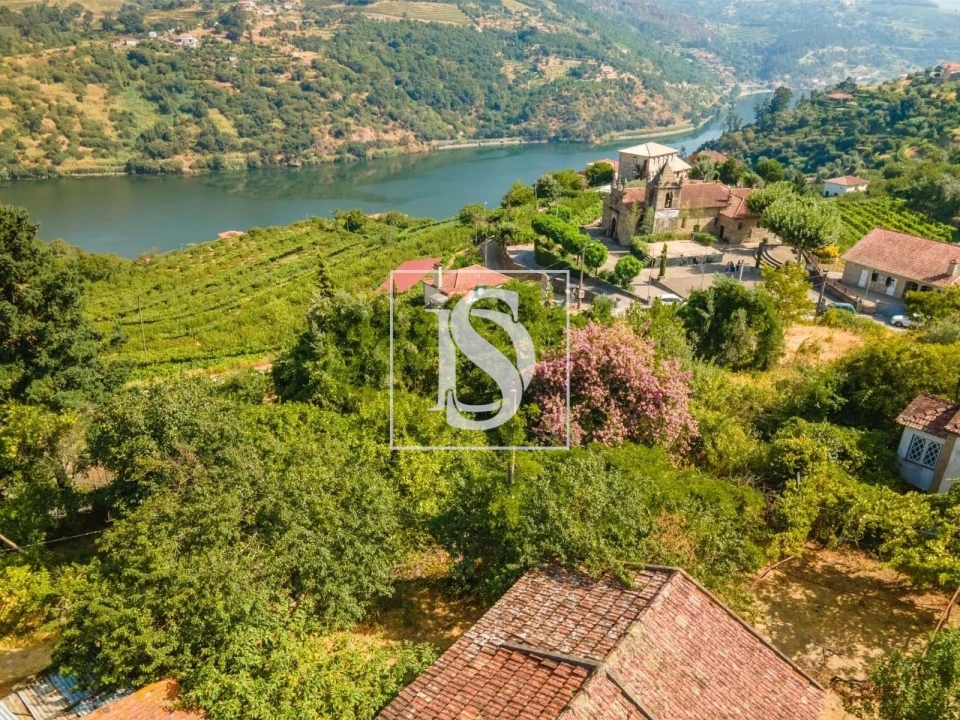 Quinta T7 para Venda em Anreade e São Romão de Aregos Foto 1