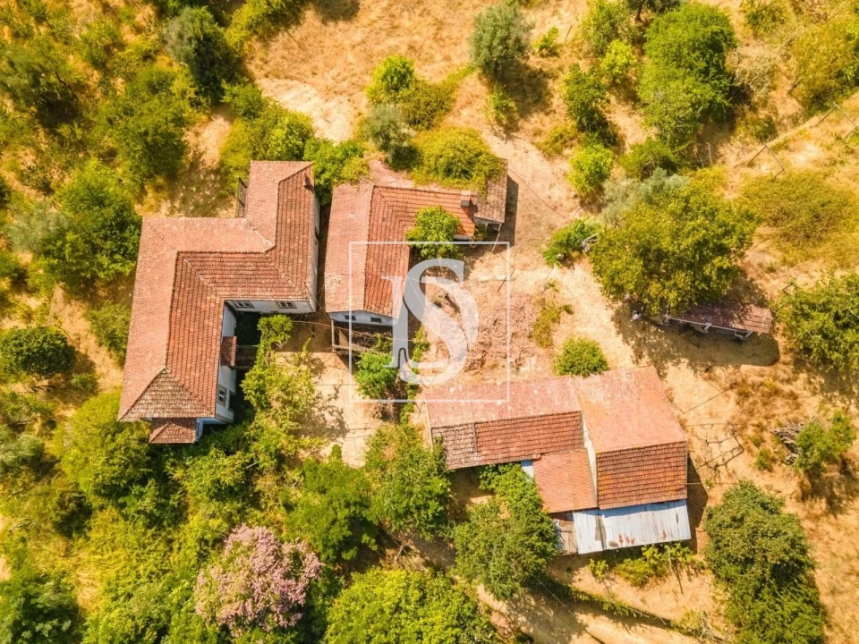 Quinta T7 para Venda em Anreade e São Romão de Aregos Foto 29