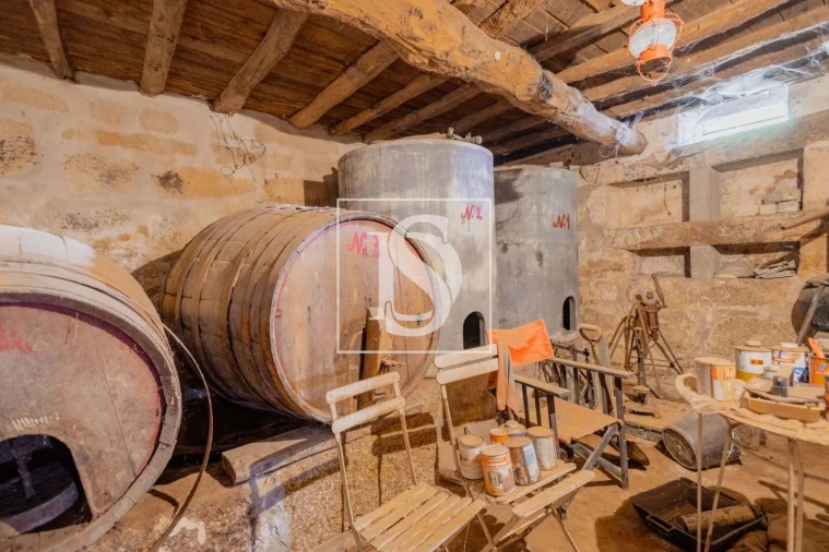 Quinta T7 para Venda em Anreade e São Romão de Aregos Foto 5