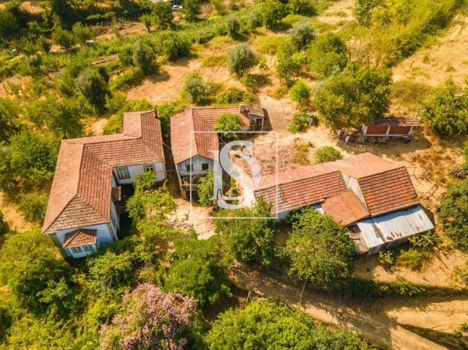 Quinta T7 para Venda em Anreade e São Romão de Aregos Foto 32