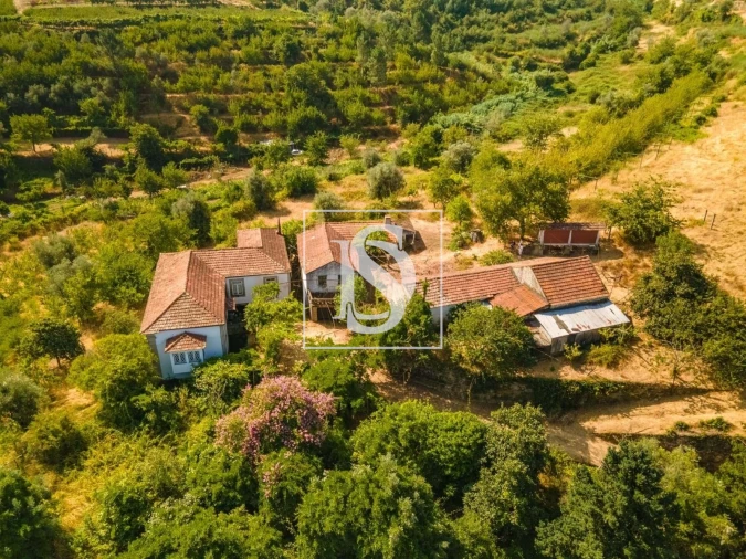 Quinta T7 para Venda em Anreade e São Romão de Aregos Foto 33