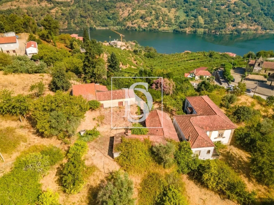 Quinta T7 para Venda em Anreade e São Romão de Aregos Foto 2