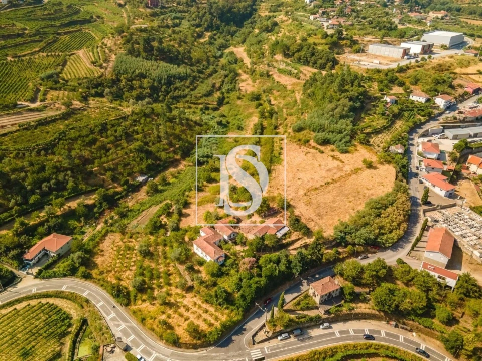 Quinta T7 para Venda em Anreade e São Romão de Aregos Foto 30