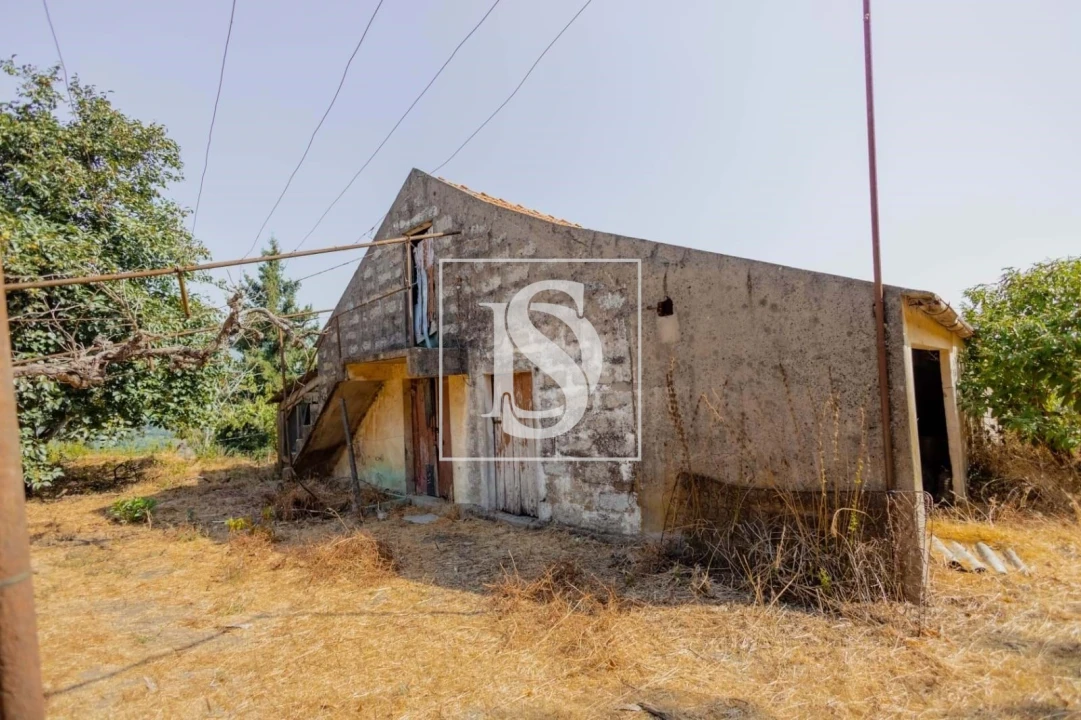 Quinta T7 para Venda em Anreade e São Romão de Aregos Foto 25