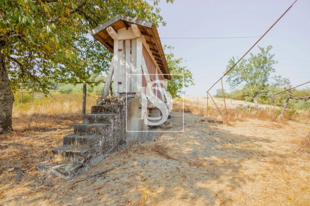 Quinta T7 para Venda em Anreade e São Romão de Aregos Foto 23