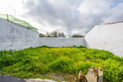 Terreno para Venda em Almodôvar e Graça dos Padrões